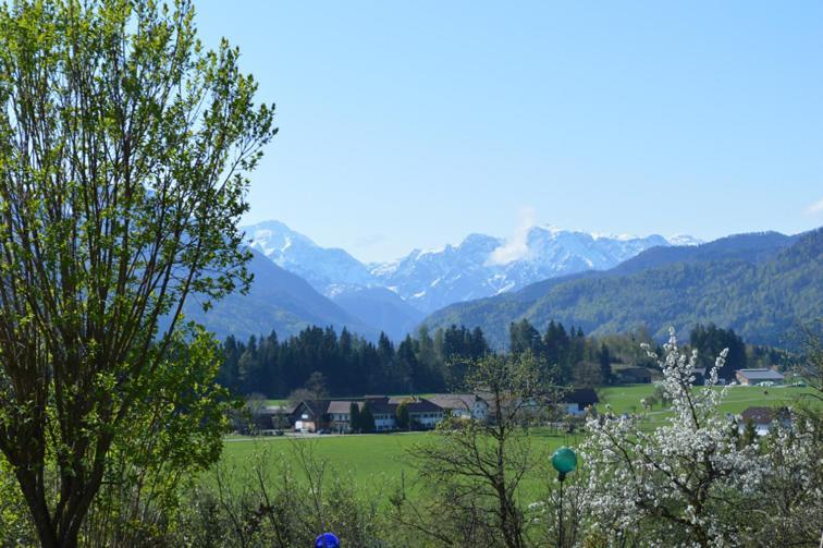 Pension Schindlau Scharnstein Екстериор снимка