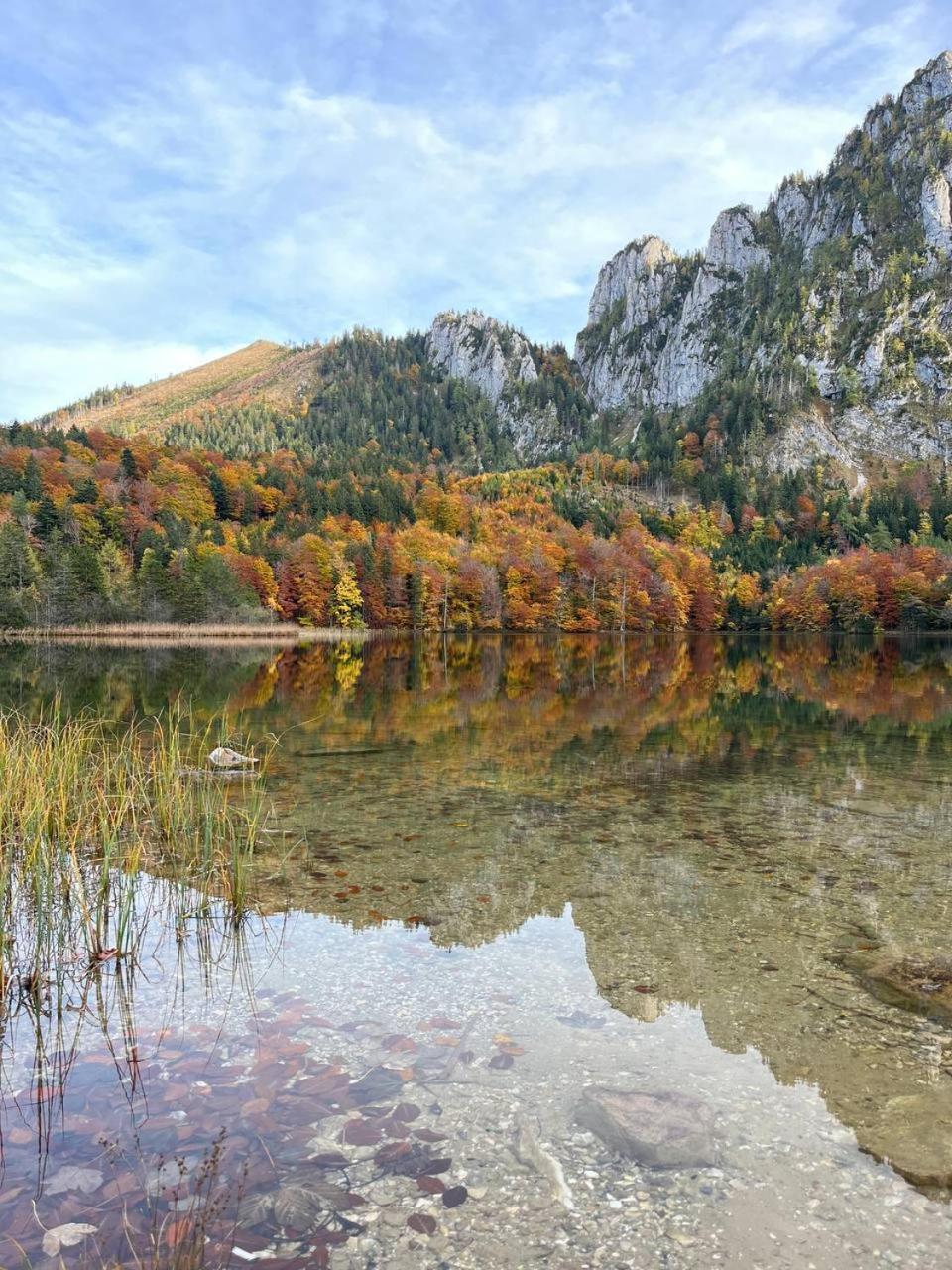 Pension Schindlau Scharnstein Екстериор снимка